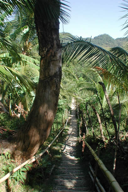 Riverwalk at   Mayfield Falls - Negril, Jamaica W.I. - Saturday, December 8, 2001 - Negril Travel Guide